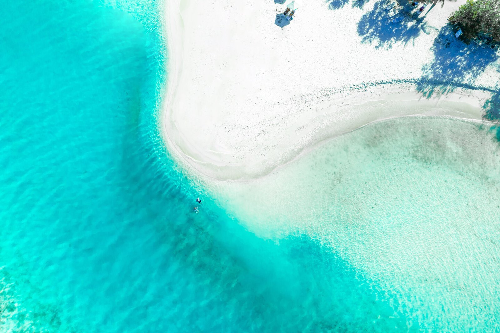 Snorkelling