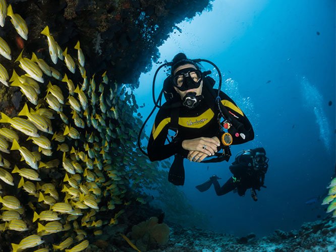 diving-primary