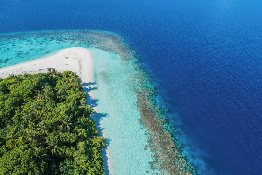 Maldives fishing trip 6 days